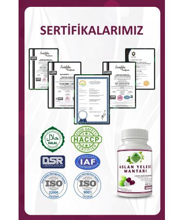 Gokcek Healing Lion's Mane Capsule (LION'S MANE MUSHROOMS CAPSULE) - Buy Online on GoSupps.com