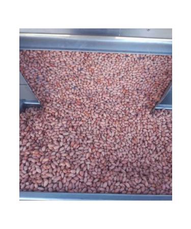 CHEMISTRY PEANUTS AND NUTS Roasted Medium Sized Peanuts Salted 1000gr