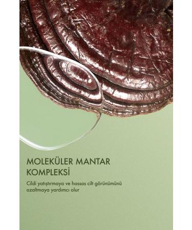 OriginsDr. Andrew Weil for Origins Mega-Mushroom Relief & Resilience Emulsion 100ml - Buy Online on GoSupps.com