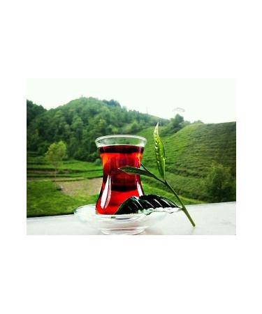 Caykur CAMELLIA TEA 1000 GR - Buy Online on GoSupps.com