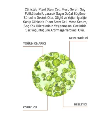 Cliniclab Pro+ Pure Plant Stem Cell Meso Serum 6 ml x 10 pcs - Buy Online on GoSupps.com