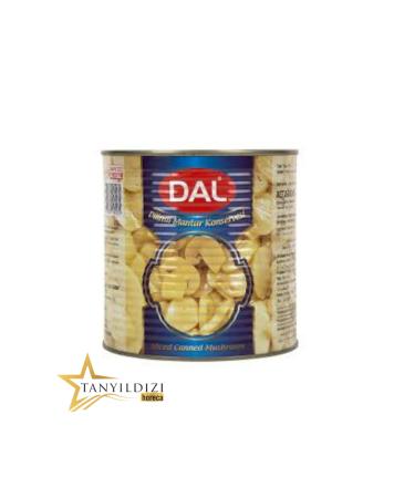 CANNED MUSHROOM SLICED 2850G