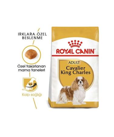Royal Canin Cavalier King Charles Adult Dog Food 1.5 Kg - Buy Online on GoSupps.com