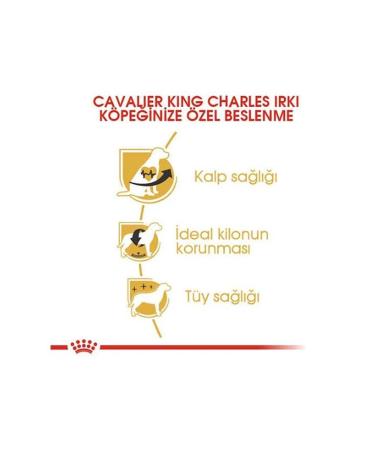 Royal Canin Cavalier King Charles Adult Dog Food 1.5 Kg - Buy Online on GoSupps.com