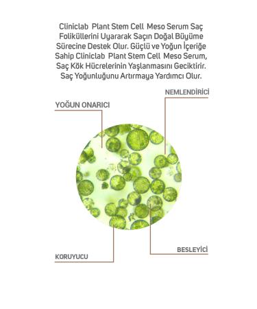 Cliniclab Pro+ Pure Plant Stem Cell Meso Serum 6 ml x 2 pcs - Buy Online on GoSupps.com