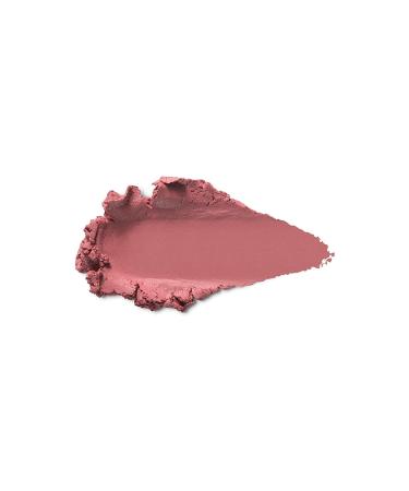 KIKO Stick Blush - Velvet Touch Creamy Stick Blush 08 Rose Mauve 10 g 8025272604970 - Buy Online on GoSupps.com