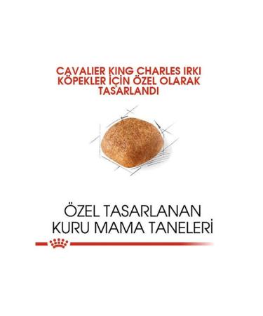 Royal Canin Cavalier King Charles Adult Dog Food 1.5 Kg - Buy Online on GoSupps.com