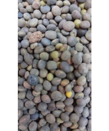 zdemir Petshop Fi Seed 5 Kg Poultry Food