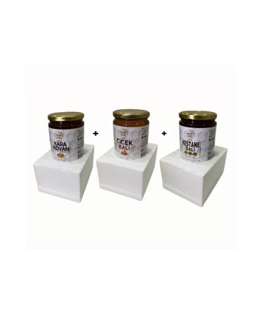 850grams of Local Black Honey 850grams of Flower 850grams of Chestnut Honey - Buy Online on GoSupps.com