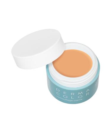 Kryolan Dermacolor Camouflage Creme 4 g