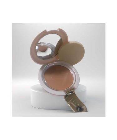 goldenlady PROFESSIONAL CREAM CAMOUFLAGE 3 IN 1 NO:22