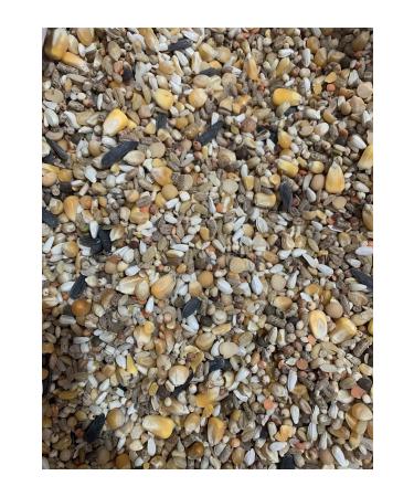 Fauna Pet Supplies 10 Kg Pigeon Chicken Food Wheat Free Mixed