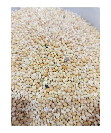 zdemir Petshop Yellow White Mixed Budgie Food 5kg