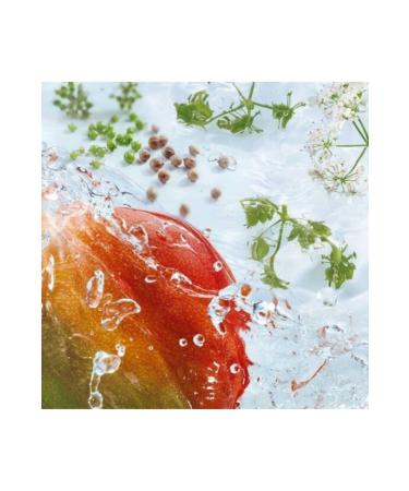 Yves Rocher Shower Gel - Mango Coriander - 200ml - Buy Online on GoSupps.com