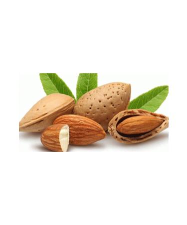 AB FOOD Ad yaman Local Raw Almond Quality Organic 500 Gr - Buy Online on GoSupps.com