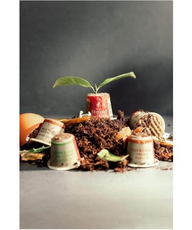 Julius Meinl Ristretto Intenso Capsule Coffee 10 Pack (4 Pack) - Buy Online on GoSupps.com