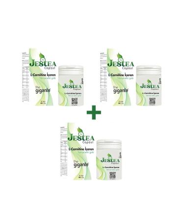 The Gigante Jestea 3 Months (90's) Usage Eco Package