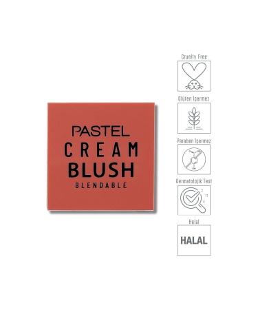 Pastel Cream Blush 42 Rosery - Cream Blush (8690644303425) - Buy Online on GoSupps.com