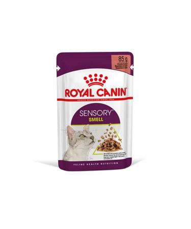 Royal Canin Sensory Smell in Gravy Adult Cat Canned 12X85 Gr