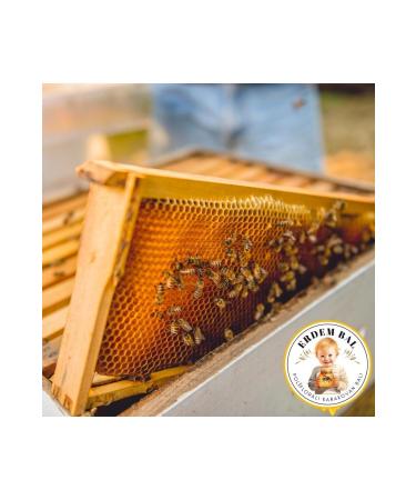 Erdem Honey Natural Polyflora Erdem Comb Honey Net 3.2 Kg