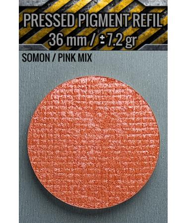 PRO 10 PRO ON REF L EYESHADOW COMPRESSED PURE PIGMENT