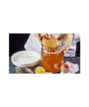 F YONA Fiyonya Food Organic Kombucha Mushroom 750 Ml Kombucha Tea + 1 Mushroom Scoby