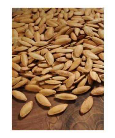 Urgup Roasted Nuts Milky Pumpkin Seeds Unsalted 2x500gr - Buy Online on GoSupps.com
