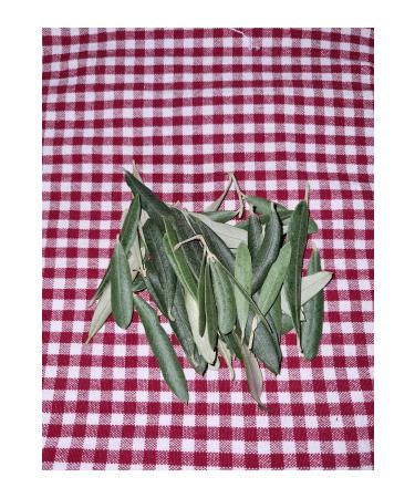 Jupitersign.store Olive Leaf 100gr