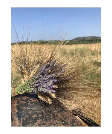 YERKES KKOOP Yer Koop High Protection Sun Cream spf50+ - Buy Online on GoSupps.com