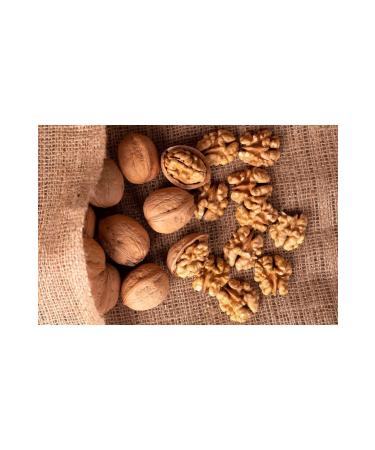 Mara Gourmet Shelled Mara Walnut (MARA 18 WALNUT) 10 Kg