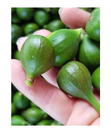 L tfi Jams Fig Jam 0.9 Kg