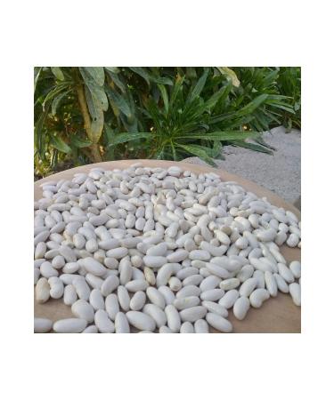 Arbel KONYA BEAN LOCAL PRODUCTION 3000 Gr
