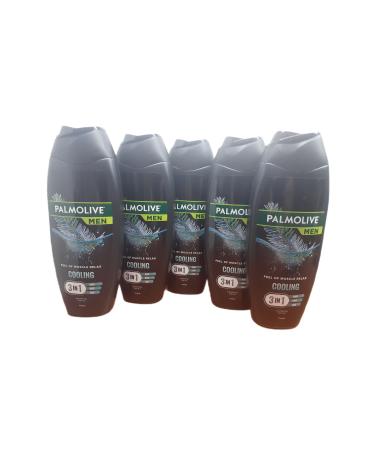 Palmolive PALMOL VE MEN COOLING 3 IN 1 SHOWER GEL 500 ML X 5 PCS