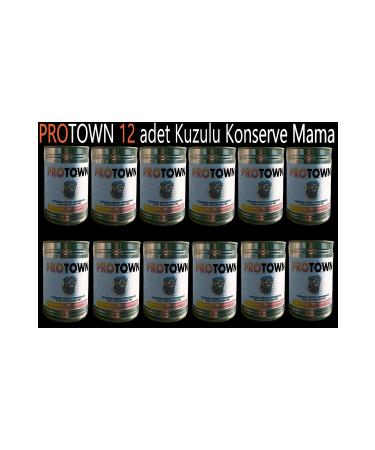 PRO TOWN 12 Pieces 415 gr Protown Lamb Canned Dog Food