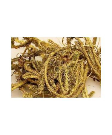 Aselife Wolfclaw 100gr