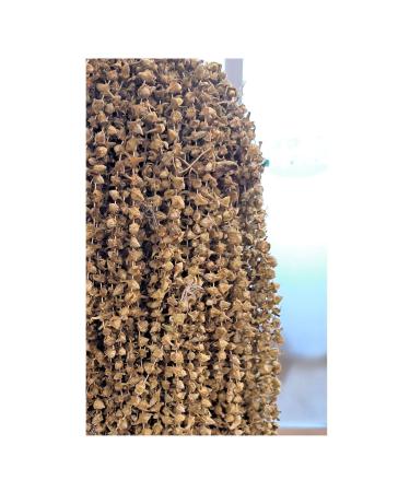 OKRA Dried Flower Okra 1.000gr - Vineyard