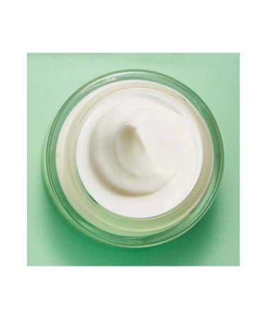 Yves Rocher Balancing and Mattifying Zinc Salicylic Acid Gel Cream Sebo Pure Vegetal 50 ml for Combination and Oily Skin - Buy Online on GoSupps.com