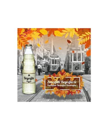 Beyo lu Soda Ginger 24x250 ml - Buy Online on GoSupps.com