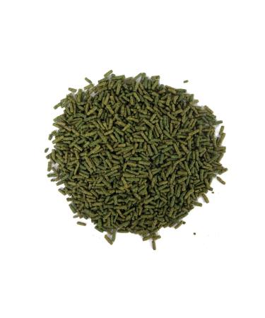 AMORE Turtle Green Sticks 125 + 250 + 100 ml Bonisa Lotus Water Turtle Food and Vitamin Set - Buy Online on GoSupps.com