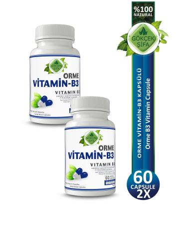 Gokcek Healing Orme Vitamin B3 Capsule (VITAMIN B3 CAPSULE) X 2