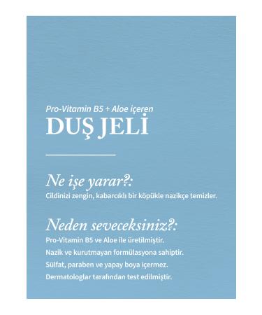 Bath & Body Works G ngham Shower Gel 295 ml - Buy Online on GoSupps.com