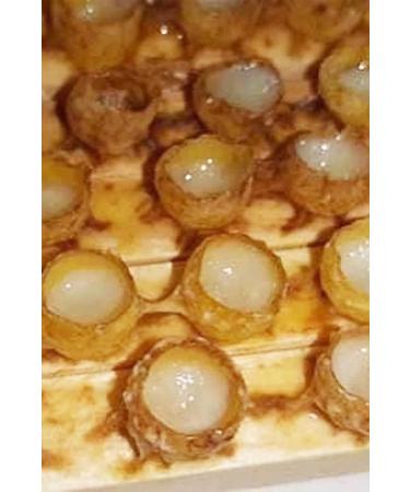 Organic Bitkim Pure Royal Jelly 40 gr - Buy Online on GoSupps.com