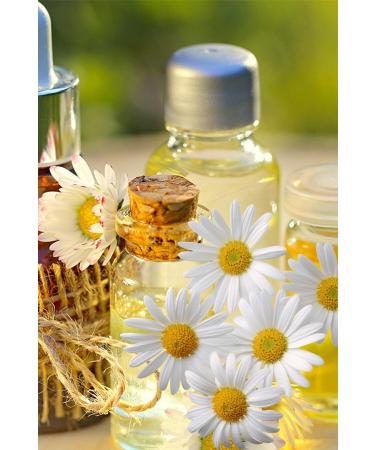 Balen Chamomile Oil (MASERATION) 20 ml - Buy Online on GoSupps.com