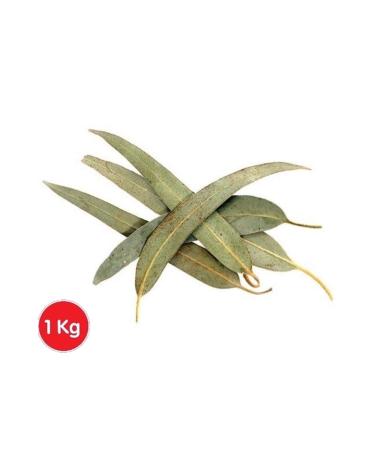 KRK Eucalyptus Leaf 1kg Brand