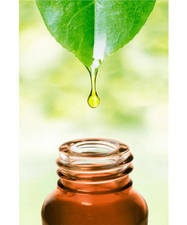 Balen Pistachio (BITTIM- TLENB K) Oil Cold Press 20 ml - Buy Online on GoSupps.com