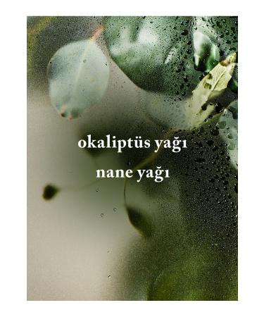 Bath & Body Works Eucalyptus Spearmint Sugar Body Scrub 368 G - Buy Online on GoSupps.com