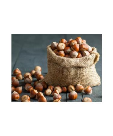 Hazelnut Giresun Shelled 1 Kg (2023 SEASON)