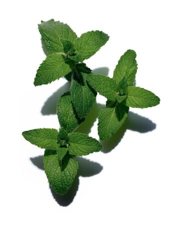 Clarins Lip Comfort Oil - Buy Online on GoSupps.com