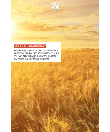 Yves Rocher Moisturizing Shower Gel - Relaxing Oat & Buckwheat - 200ml-17385 - Buy Online on GoSupps.com