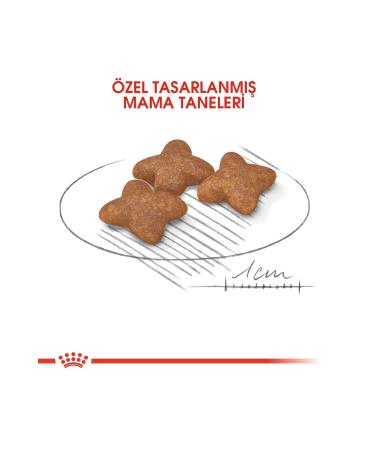 Royal Canin Mini Adult Small Breed Adult Dog Food 2 Kg - Buy Online on GoSupps.com